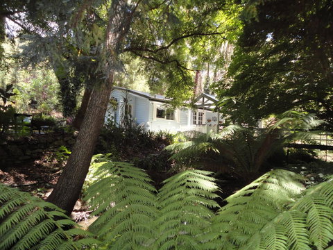 Aldgate Valley Bed And Breakfast - New Castle Holiday 30