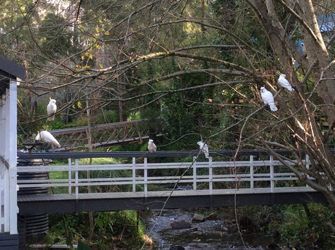 Aldgate Valley Bed And Breakfast - New Castle Holiday 41