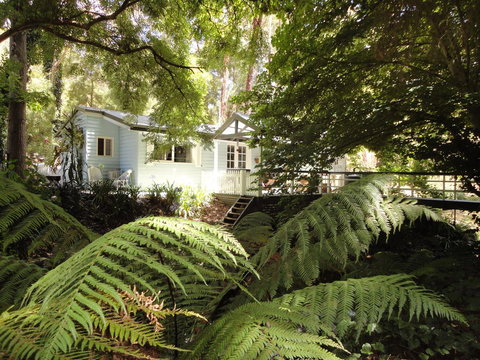 Aldgate Valley Bed And Breakfast - New Castle Holiday 39
