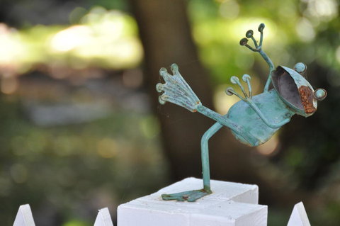 Aldgate Valley Bed And Breakfast - New Castle Holiday 38