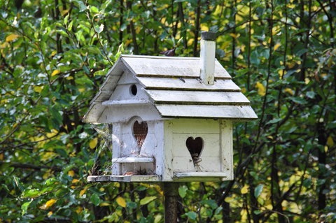 Aldgate Valley Bed And Breakfast - New Castle Holiday 37