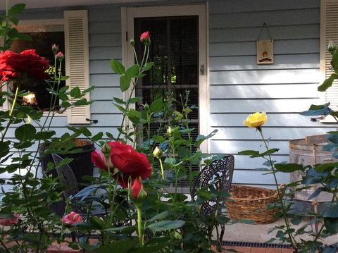 Aldgate Valley Bed And Breakfast - New Castle Holiday 31