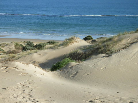 McCloud House - New Castle Holiday 10