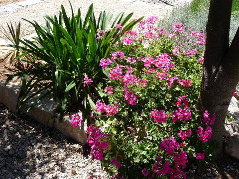 Country Bakehouse Accommodation - New Castle Holiday 18