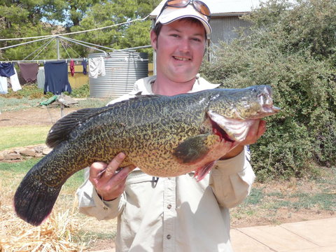 Country Bakehouse Accommodation - New Castle Holiday 20