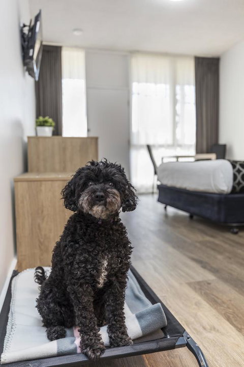 Adelaide Road Motor Lodge - New Castle Holiday 2