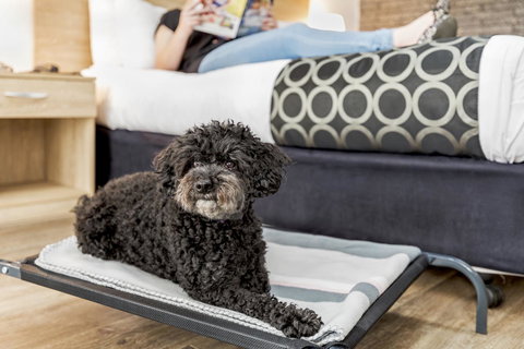 Adelaide Road Motor Lodge - New Castle Holiday 5