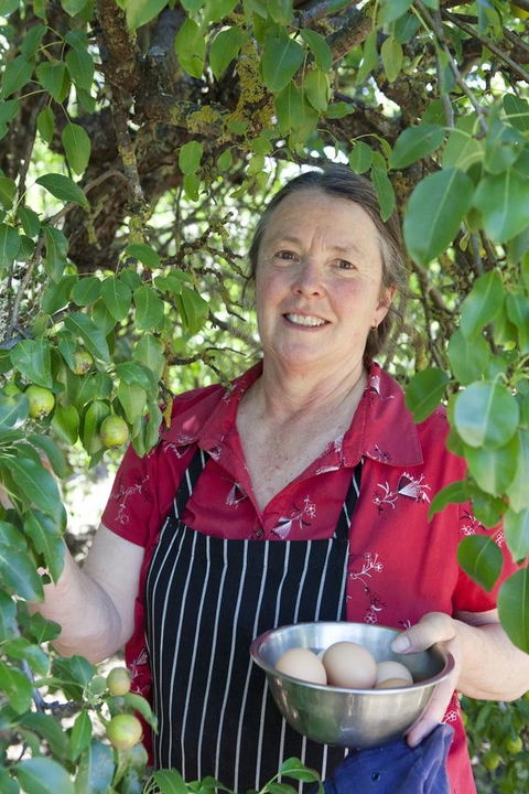 The Fruiterer's - New Castle Holiday 6