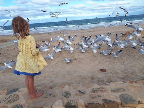 Moana Beach Tourist Park - New Castle Holiday 9