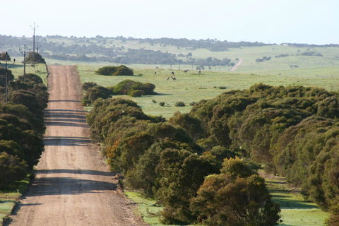 Almonta Park Lodge - New Castle Holiday 1