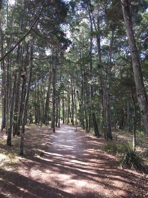 Brunswick Heads Treetop Studio - New Castle Holiday 8