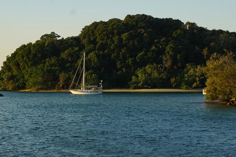 Brunswick Heads Treetop Studio - New Castle Holiday 9