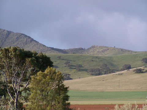 Burra Motor Inn - New Castle Holiday 32