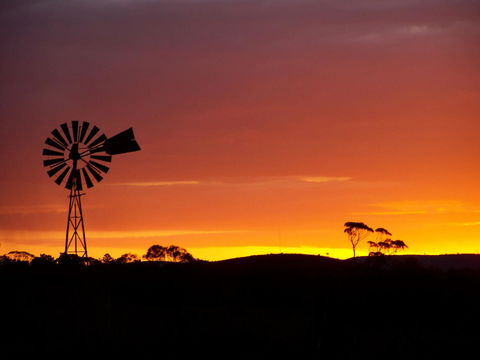 Burra Motor Inn - New Castle Holiday 38