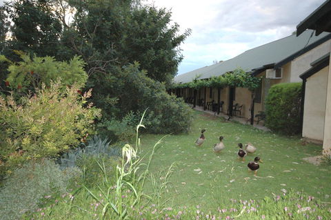 Burra Motor Inn - New Castle Holiday 24