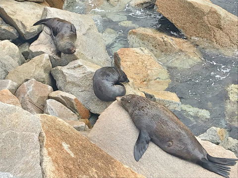 Penthouse On The Promenade - New Castle Holiday 17