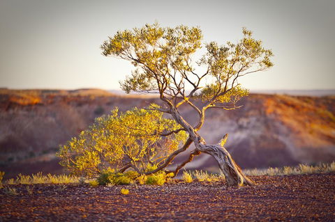 The Lookout Cave Underground Motel - New Castle Holiday 22