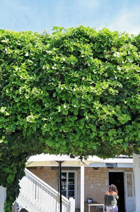 Caledonian Inn - New Castle Holiday 21