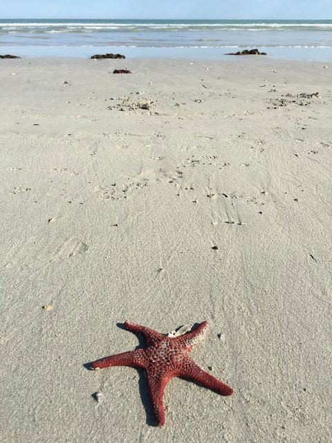 Caledonian Inn - New Castle Holiday 14