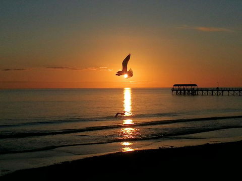 Adelaide Luxury Beach House - New Castle Holiday 37