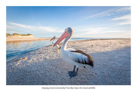 Adelaide Luxury Beach House - New Castle Holiday 25