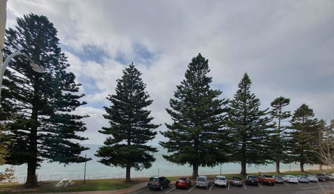 Pier Hotel Port Lincoln - New Castle Holiday 12