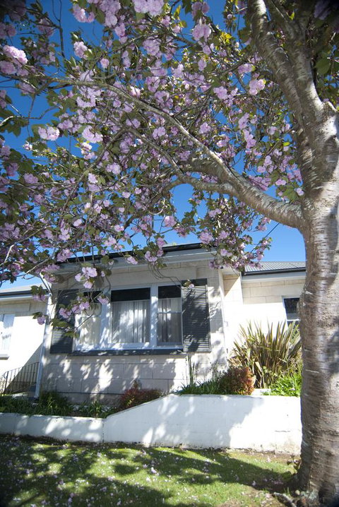 The Commodore - New Castle Holiday 14