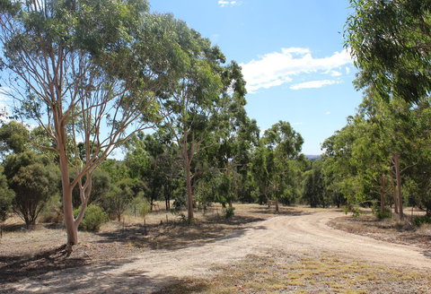 Windmill Cottage - New Castle Holiday 16