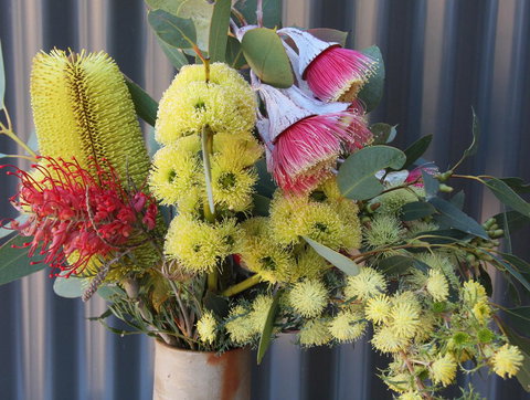 Windmill Cottage - New Castle Holiday 15