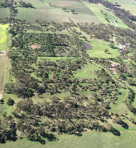 Windmill Cottage - New Castle Holiday 10