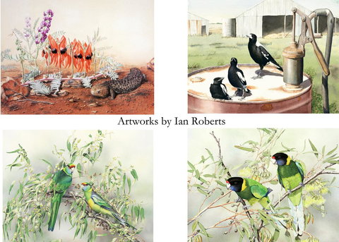 Windmill Cottage - New Castle Holiday 14