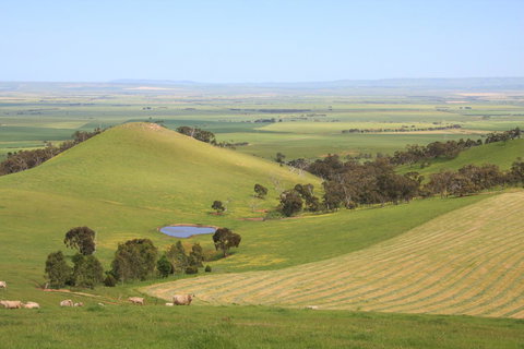 Windmill Cottage - New Castle Holiday 2