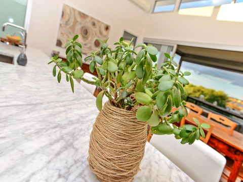 Muse On The Murray - New Castle Holiday 25