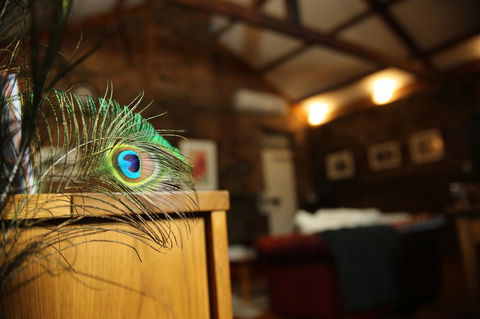 William Hunt's Retreat - Cypress Studio - New Castle Holiday 16