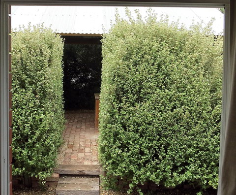 A2@Port Willy - New Castle Holiday 13