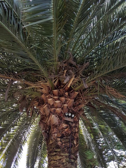 Possum Cottage - New Castle Holiday 3