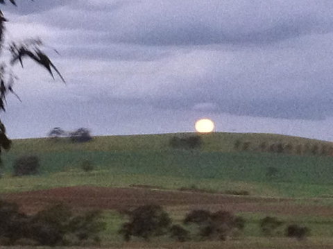 Clare Valley Cabins - New Castle Holiday 41