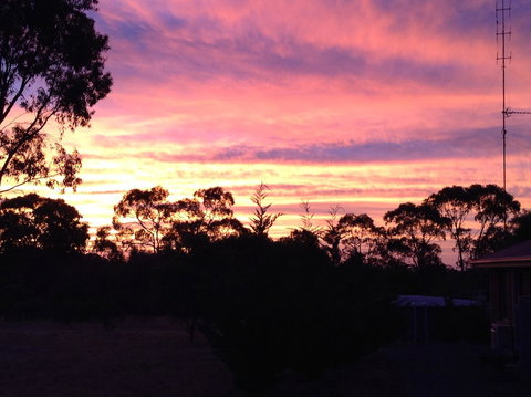 Clare Valley Cabins - New Castle Holiday 8