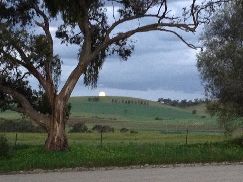Clare Valley Cabins - New Castle Holiday 10