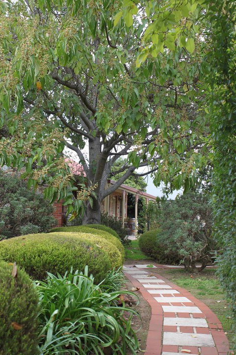 Langmeil Cottages - New Castle Holiday 2