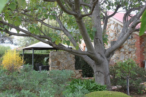 Langmeil Cottages - New Castle Holiday 3