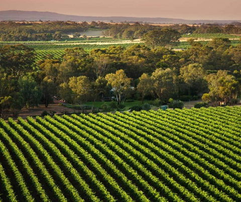 The Reserve Barossa Valley - New Castle Holiday 1