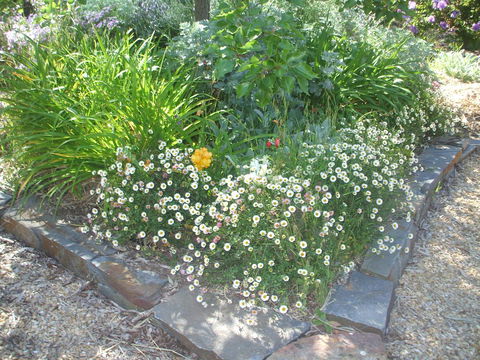 Archery Road Estate - New Castle Holiday 15