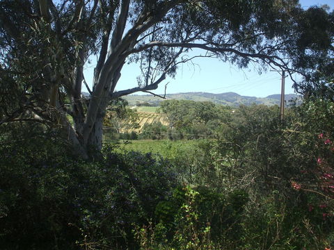 Archery Road Estate - New Castle Holiday 0