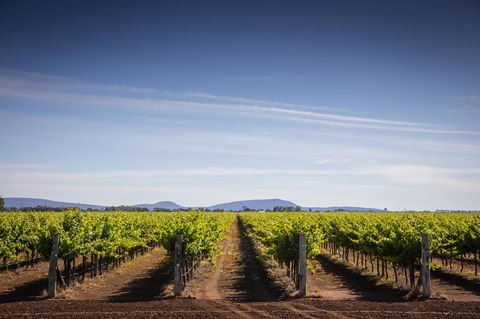 Quest Griffith - New Castle Holiday 14