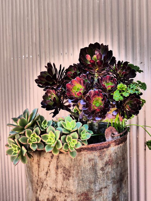 Andy\'s Accommodation - New Castle Holiday 13