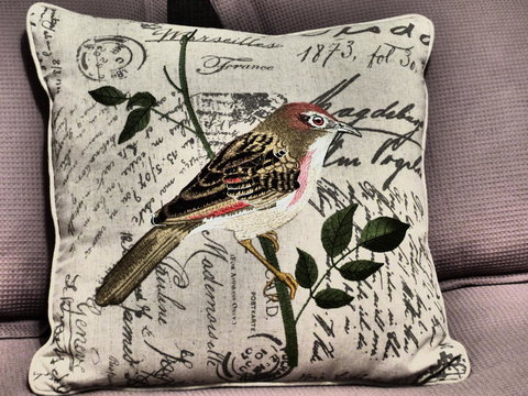 Andy\'s Accommodation - New Castle Holiday 9