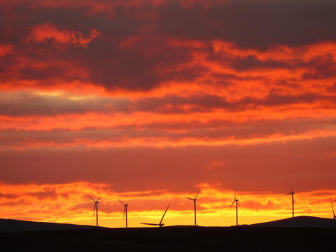 Andy\'s Accommodation - New Castle Holiday 11