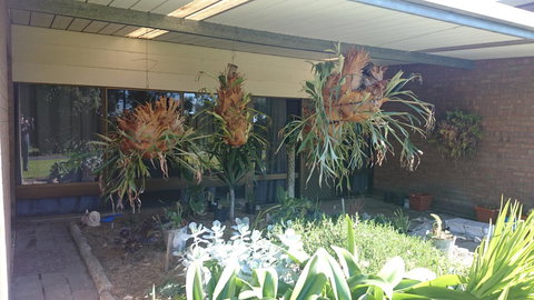 Hilltop Escape - New Castle Holiday 11