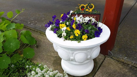 Addies Place Goolwa - New Castle Holiday 10